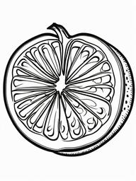 Fruit Coloring Pages - Cantaloupe with skin texture  simple coloring pages