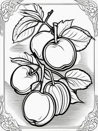 Fruit Coloring Pages - Apricots with one split open  simple coloring pages