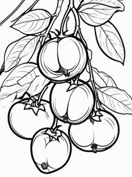 Fruit Coloring Pages - Persimmons with leafy top  simple coloring pages