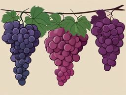 Grape Clusters Hanging Clipart - Clusters of grapes hanging on the vine.  color vector clipart, minimal style