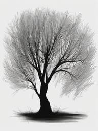 drawing of willow tree  minimal rough sketch scribbles,doodles,black and white