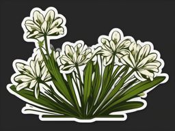 Sweet Woodruff Sticker - Explore the sweet and hay-like flavor of sweet woodruff, , sticker vector art, minimalist design