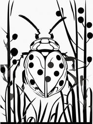 Ladybird clipart - black and white outline of a ladybird  color,minimalist,vector clipart