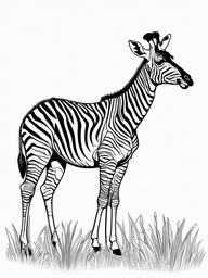 Okapi Coloring Pages - Zebra-Like Giraffe Relative  black outline printable coloring page