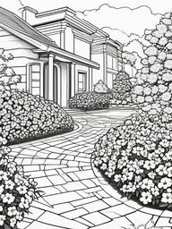 Phlox coloring page sheet - Phlox flowers growing in neat clusters along a garden walkway.  black outline printable coloring page