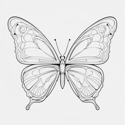 Small butterfly tattoo outline, Delicate butterfly tattoos with a simple outline design.  viviid colors, white background, tattoo design