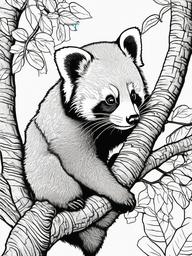 Red Panda Coloring Pages - Small Tree Dwelling Mammal  black outline printable coloring page