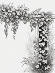 drawing of a vine in a garden  minimal rough sketch scribbles,doodles,black and white