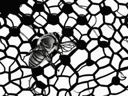 drawing of a bee observation hive  minimal rough sketch scribbles,doodles,black and white