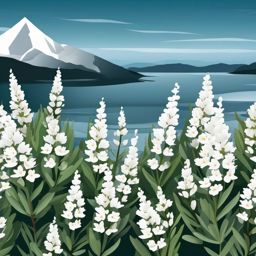 Arctic White Heather Clip Art - White heather blossoms against an Arctic backdrop,  color vector clipart, minimal style