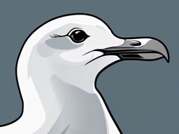 Seagull Close-up clipart - Close-up of a seagull, ,vector color clipart,minimal