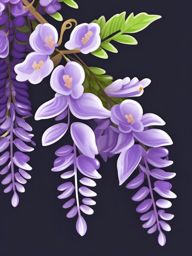 Wisteria Sticker - Experience the cascading and enchanting beauty of wisteria blooms with this sticker, , sticker vector art, minimalist design