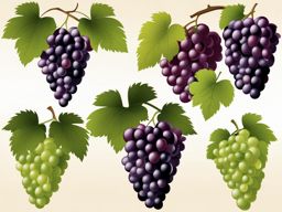 grapes clipart - bunches of grapes, ready for winemaking or snacking 