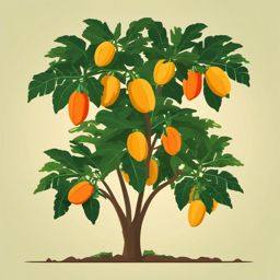 Papaya Tree with Ripe Papayas Clipart - A papaya tree with ripe papayas.  color vector clipart, minimal style