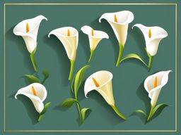 Calla Lily Clip Art - An elegant white calla lily with a trumpet-shaped blossom,  color vector clipart, minimal style