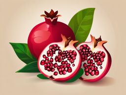 Pomegranate Clipart - Exotic and colorful pomegranate fruit.  color vector clipart, minimal style