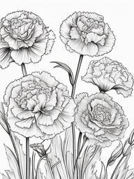 Floral Carnations - Ruffled flowers known for their clove-like scent.  outling,coloring pages,black and white