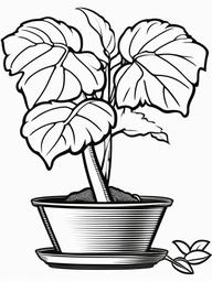 Plant Coloring Pages - Plant in a pot  simple coloring pages