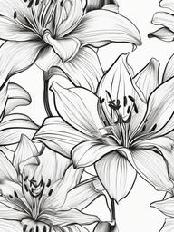 Floral Lilies - Graceful flowers with striking patterns.  outling,coloring pages,black and white