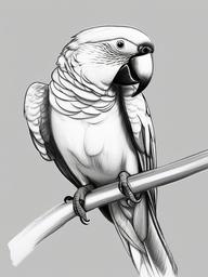 pencil sketch of parrot  minimal rough sketch scribbles,doodles,black and white