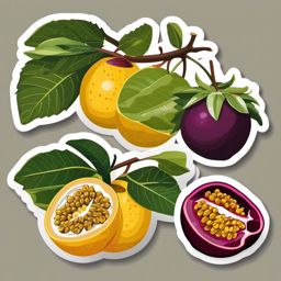 Passion Fruit Sticker - Tart and aromatic, a passion fruit-colored delight, , sticker vector art, minimalist design
