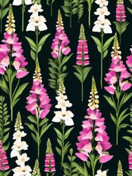 Foxglove Clip Art - Elegant foxglove blossoms on tall spikes,  color vector clipart, minimal style