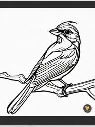 Shrike Coloring Pages - Small Fierce Predator Bird  minimal black outline printable sheet, coloring page