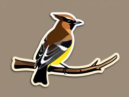 Cedar Waxwing Sticker - A cedar waxwing with sleek brown and yellow plumage, ,vector color sticker art,minimal