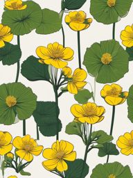 Boreal Bog Marsh Marigold Clip Art - Marsh marigold in boreal bogs,  color vector clipart, minimal style