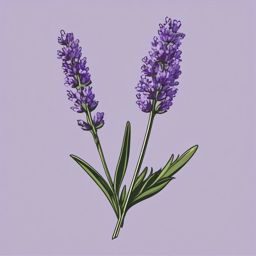 Lavender Clip Art - A fragrant sprig of purple lavender flowers,  color vector clipart, minimal style