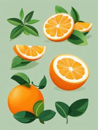 Orange Slices and Citrus Leaves Clipart - Slices of oranges with vibrant citrus leaves.  color vector clipart, minimal style