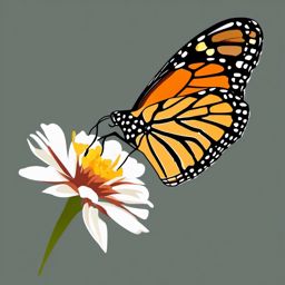 Monarch butterfly resting on a flower clipart  simple, 2d flat