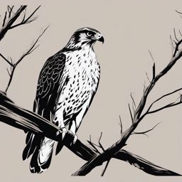 Hawk Clipart - Hawk with keen eyes searching for prey in the wilderness , minimal, 2d