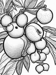 Fruit Coloring Pages - Lychee with peel and inner fruit  simple coloring pages