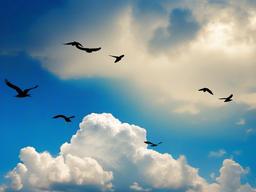 Sky Wall Paper-Sky blue wallpaper with fluffy white clouds and birds in flight  background wallpaper