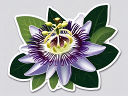 Passion Flower Sticker - Capture the intricate and symbolic beauty of passion flowers with this sticker, , sticker vector art, minimalist design