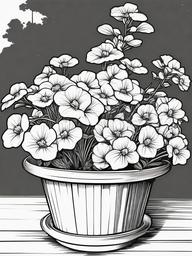 Nemesia coloring page sheet - Nemesia flowers blooming in a sunny garden planter.  black outline printable coloring page