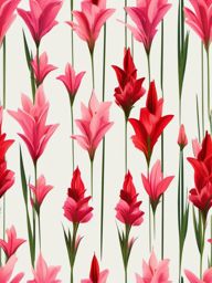 Gladiolus Clip Art - Tall gladiolus spikes with multiple blossoms,  color vector clipart, minimal style