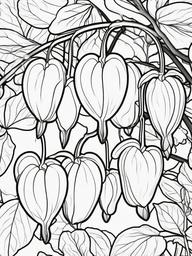 Bleeding Heart coloring page sheet - Delicate bleeding heart flowers in a shaded forest garden.  black outline printable coloring page