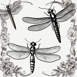 Dragonfly  clipart