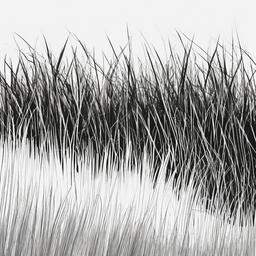 sketch of grass  minimal rough sketch scribbles,doodles,black and white