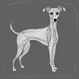 drawing of a Italian Greyhound dog  minimal rough sketch scribbles,doodles,black and white