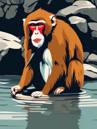 Japanese Macaque Clip Art - Japanese macaque in a hot spring,  color vector clipart, minimal style