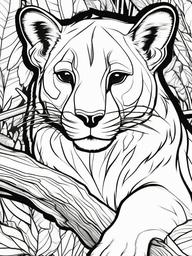 Fossa Coloring Pages - Madagascar's Top Predator  black outline printable coloring page