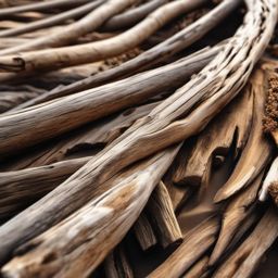 Beachcomber's driftwood art close shot perspective view, photo realistic background, hyper detail, high resolution