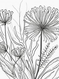 Vegetable Coloring Pages - Dill with fine, feathery leaves  simple coloring pages