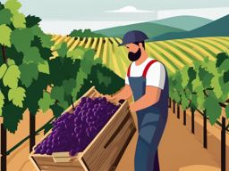 Grape Harvest in Vineyard Clipart - Grapes being harvested in a vineyard.  color vector clipart, minimal style