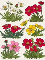 Boreal Marsh Cinquefoil Clip Art - Marsh cinquefoil blooms in boreal landscapes,  color vector clipart, minimal style