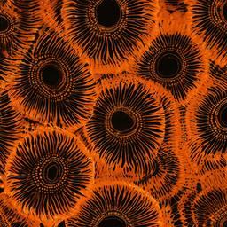 Orange Background Wallpaper - orange tie dye background  