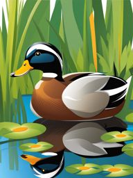 duck clipart - a quacking and waddling duck in a pond. 